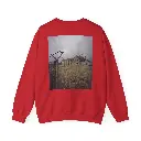 Back (1).webp